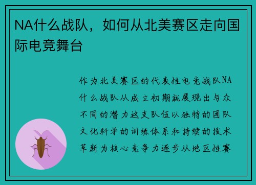 NA什么战队，如何从北美赛区走向国际电竞舞台